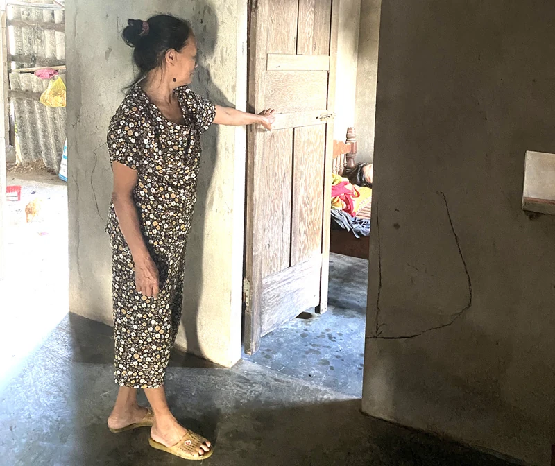 Nỗi đau của mẹ