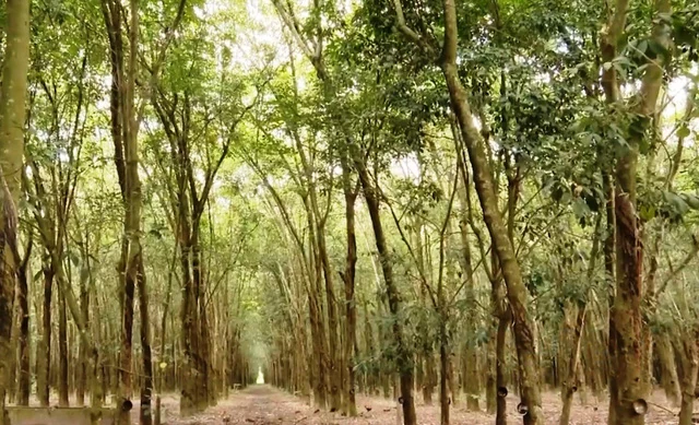 Thu hồi 10.274 m<sup>2</sup> đất để xây dựng công trình Điểm dân cư nông thôn xã Hải Thượng
