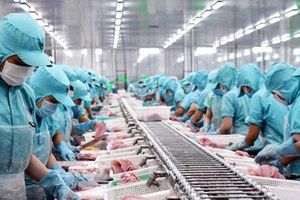 ADB nâng dự báo tăng trưởng kinh tế Việt Nam