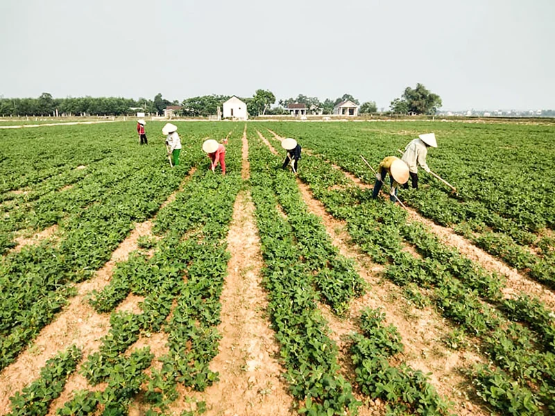 Khơi dậy nội lực trong Nhân dân để phát triển sản xuất