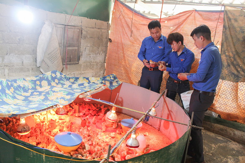 Huyện Hải Lăng triển khai hiệu quả chương trình tín dụng chính sách