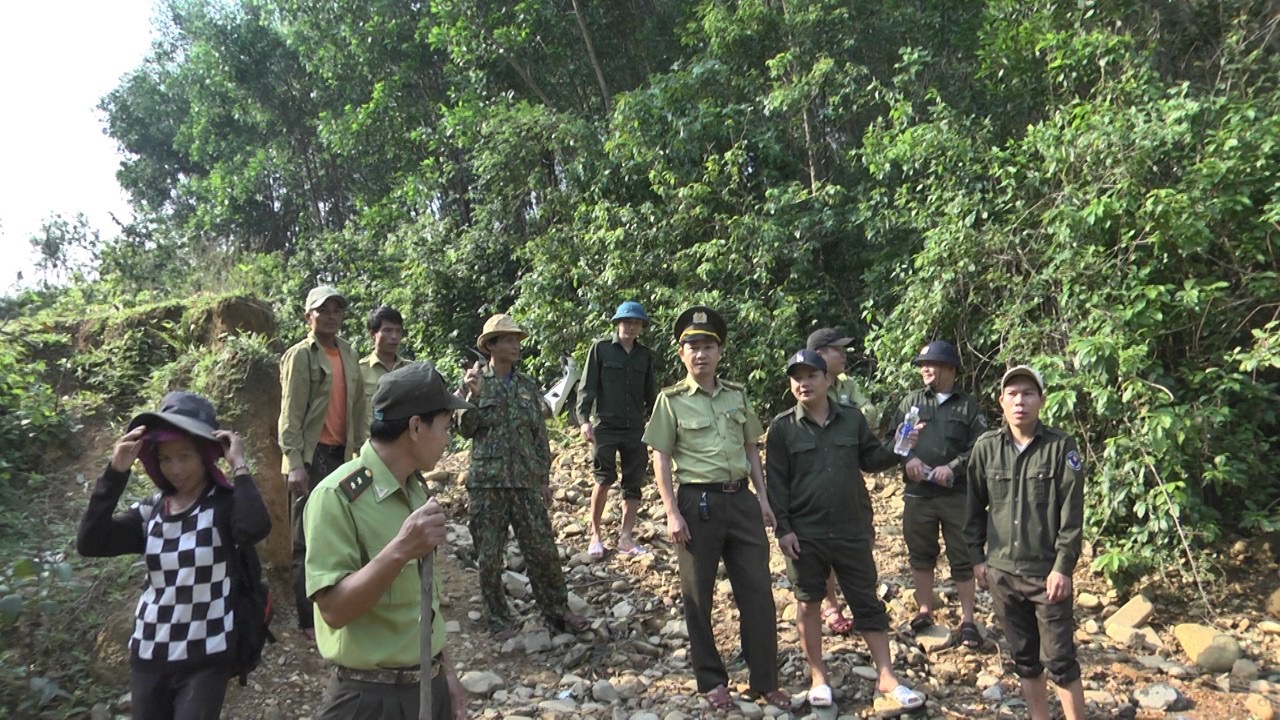 Vĩnh Linh: Triển khai đợt cao điểm ngăn chặn hành vi xâm hại rừng