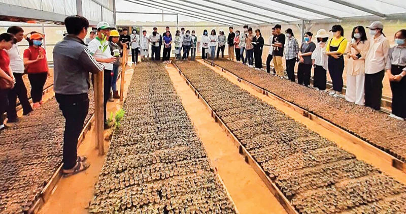 Du lịch trải nghiệm cùng SEPON GROUP
