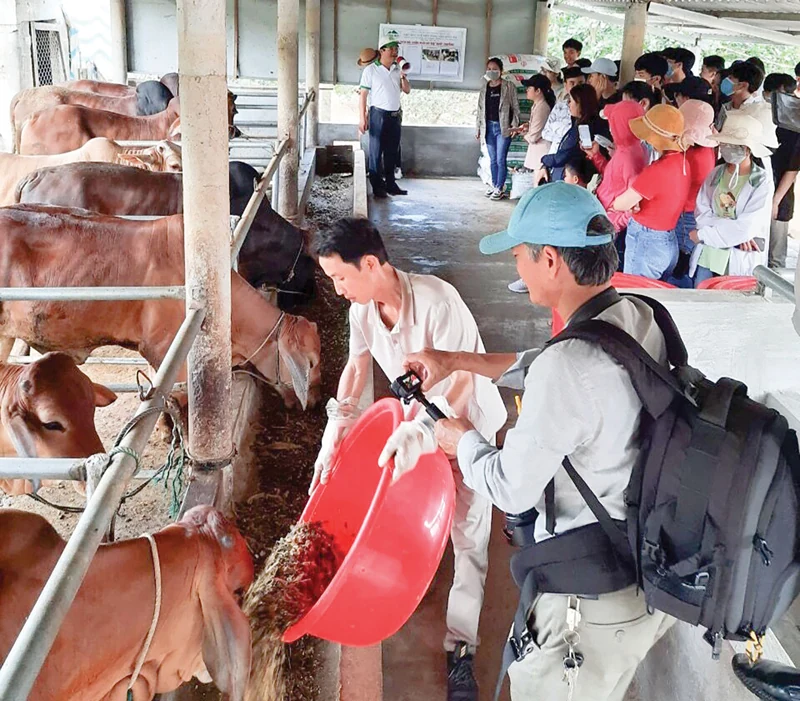 Du lịch trải nghiệm cùng SEPON GROUP