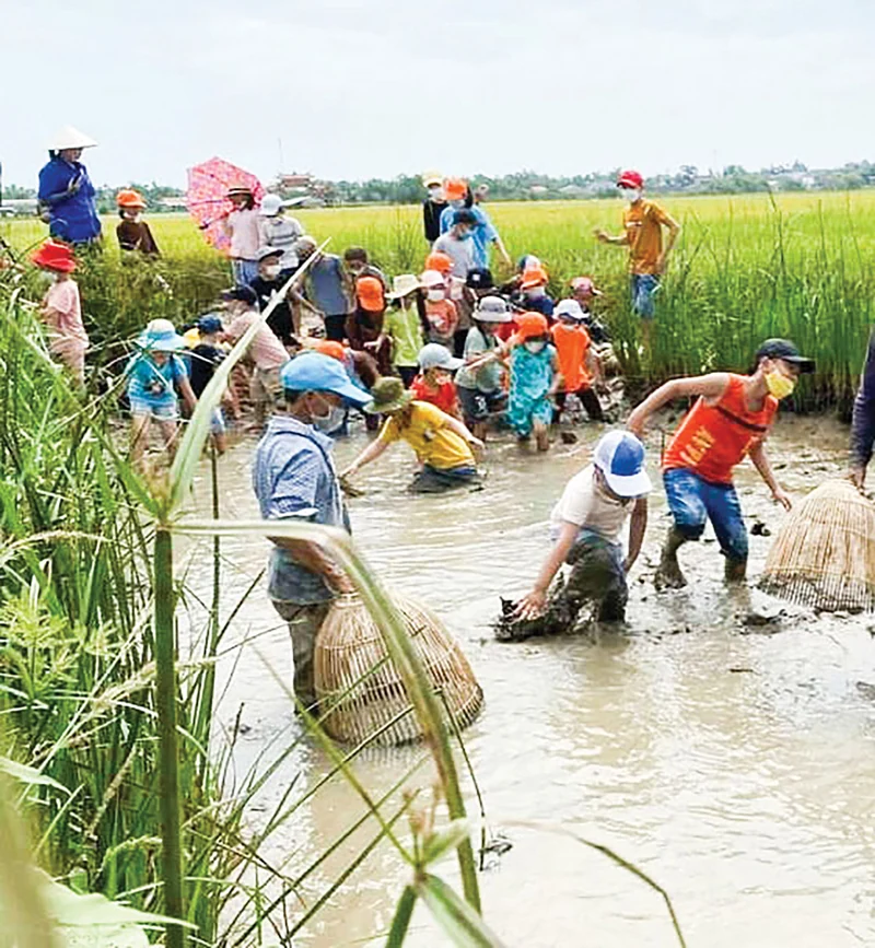 Du lịch trải nghiệm cùng SEPON GROUP
