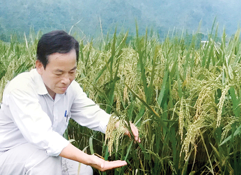 Ngôi trường cấp 2 đầu tiên ở vùng giải phóng