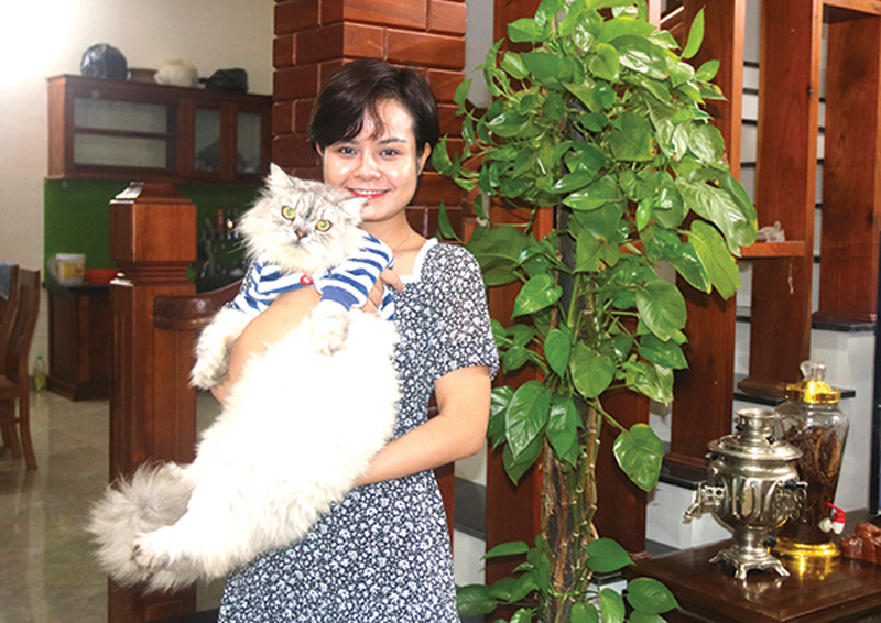 Thú chơi mèo cảnh