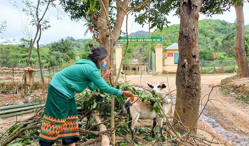 Cần tháo gỡ khó khăn trong hỗ trợ các mô hình phát triển sản xuất để giảm nghèo bền vững