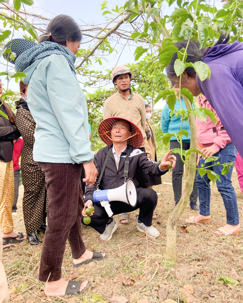 Hướng Phùng tập trung phòng trừ sâu bệnh trên cây chanh leo