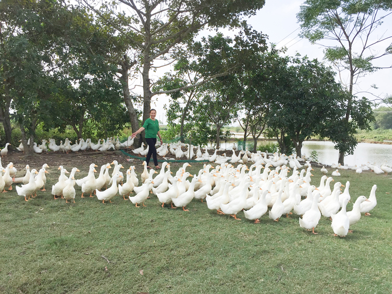 Hỗ trợ phụ nữ khởi nghiệp