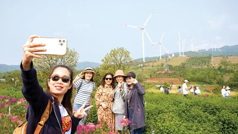 Check in trên “cánh đồng” điện gió