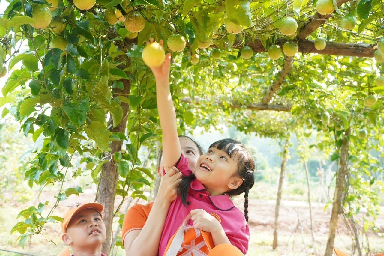 “Thấu tình đạt lý” trong xử lý sai phạm thủ tục đầu tư dự án
