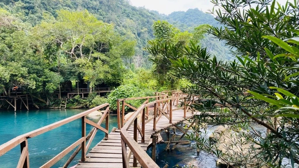 Một ngày khám phá vườn quốc gia Phong Nha - Kẻ Bàng