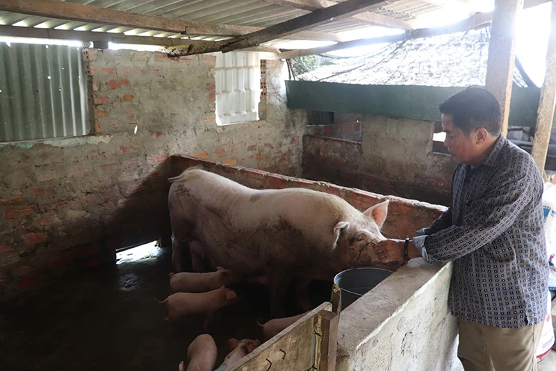 Nỗ lực thoát nghèo của người dân xã Gio Hải