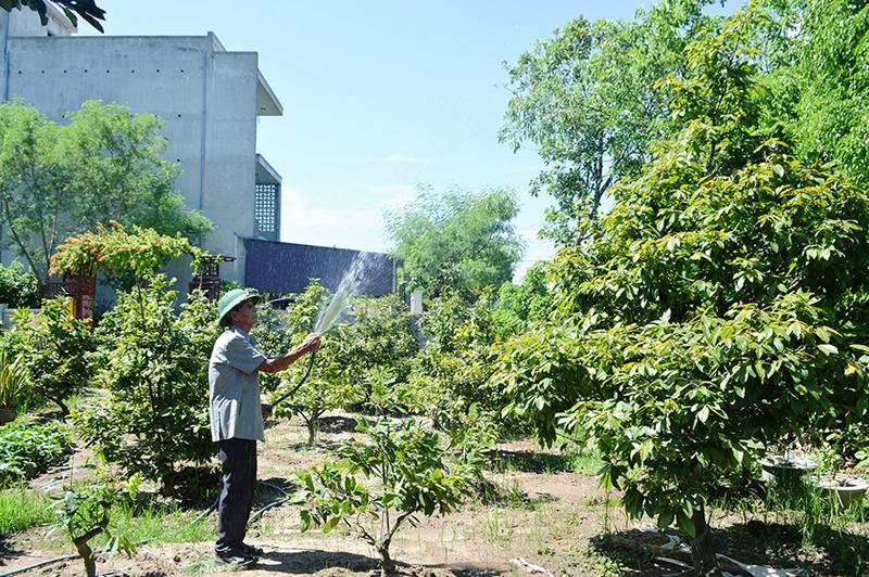 Những cựu chiến binh hăng hái làm giàu