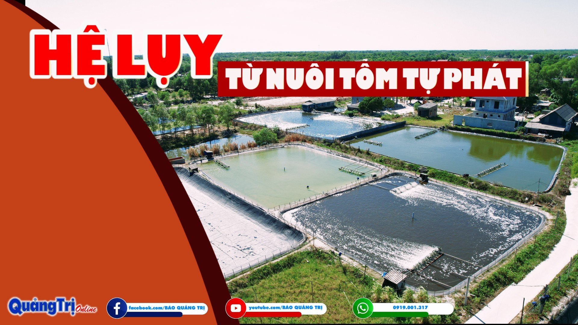 Hệ lụy từ nuôi tôm tự phát