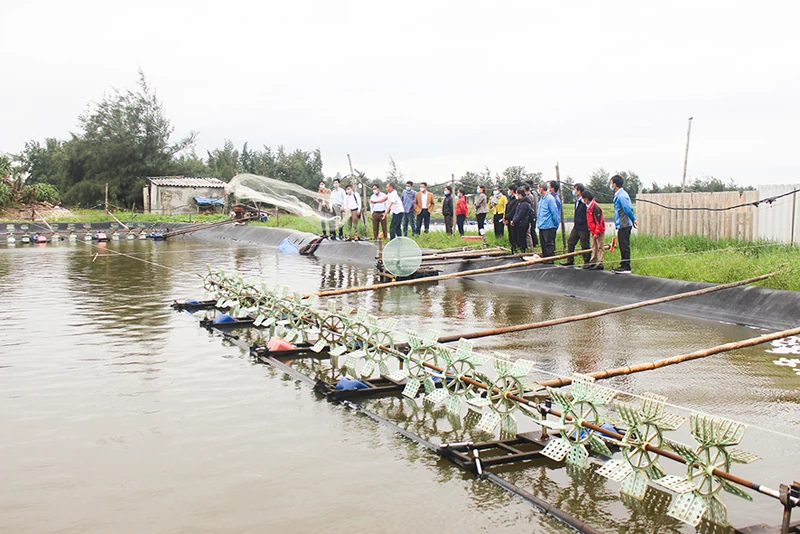 Đồng hành với nông dân nâng cao trình độ sản xuất