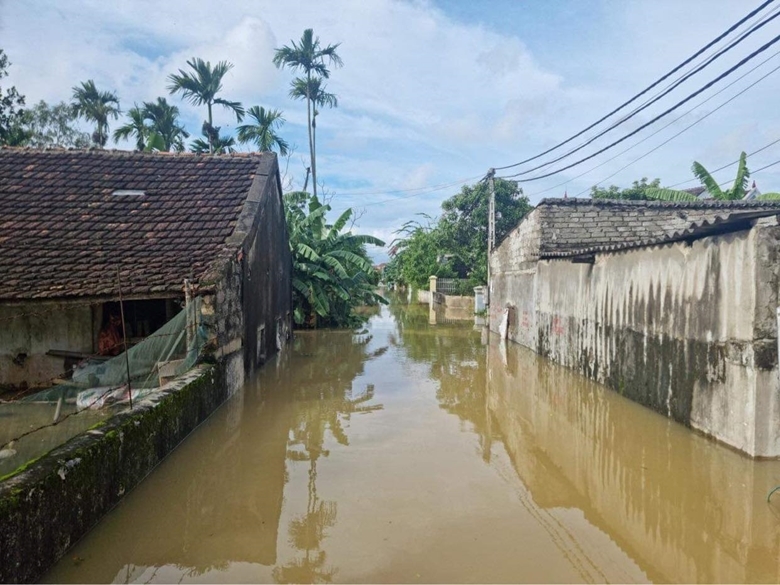 Chủ động ứng phó với mưa lớn cục bộ, dông lốc
