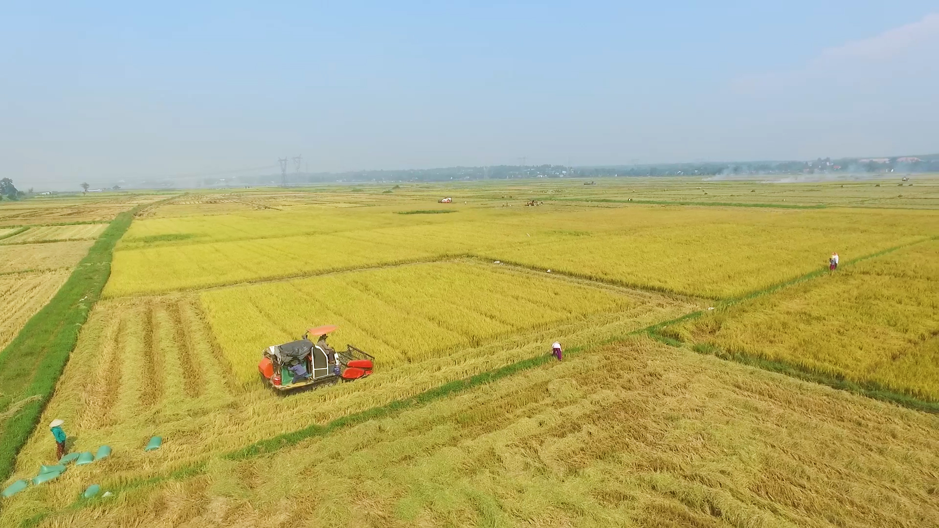 Xây dựng tổ chức đảng trong hợp tác xã : Khó ở đâu, tháo gỡ ở đó. Bài 3: Phát triển tổ chức đảng trong HTX phù hợp với điều kiện thực tiễn của từng địa phương