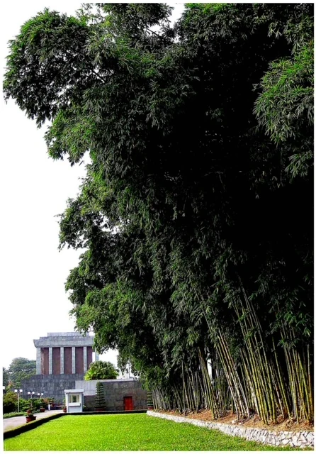 Nhớ mùa Thu Hà Nội