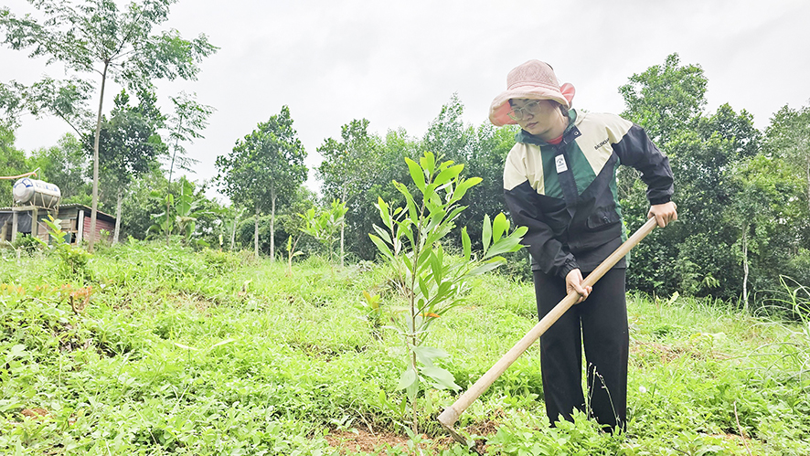 Nan giải vấn đề bố trí việc làm cho người học diện cử tuyển