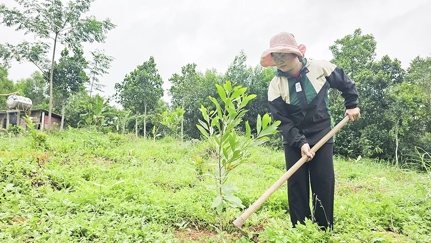 Nan giải vấn đề bố trí việc làm cho người học diện cử tuyển