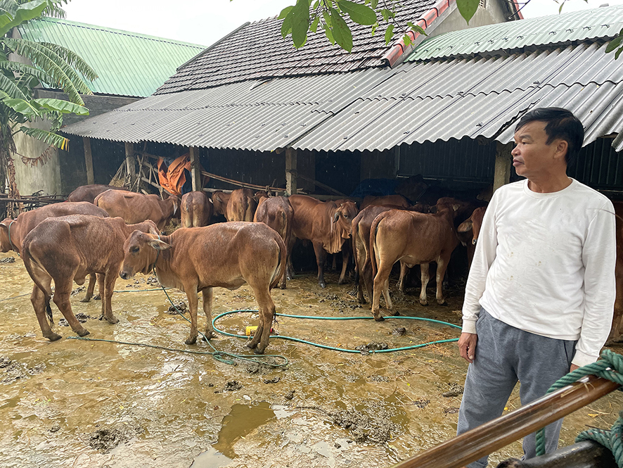 Chủ động phòng chống thiên tai để giảm thiểu thiệt hại