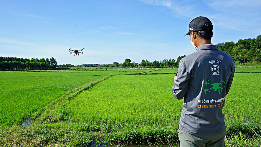 Đẩy mạnh chuyển đổi số trong nông nghiệp