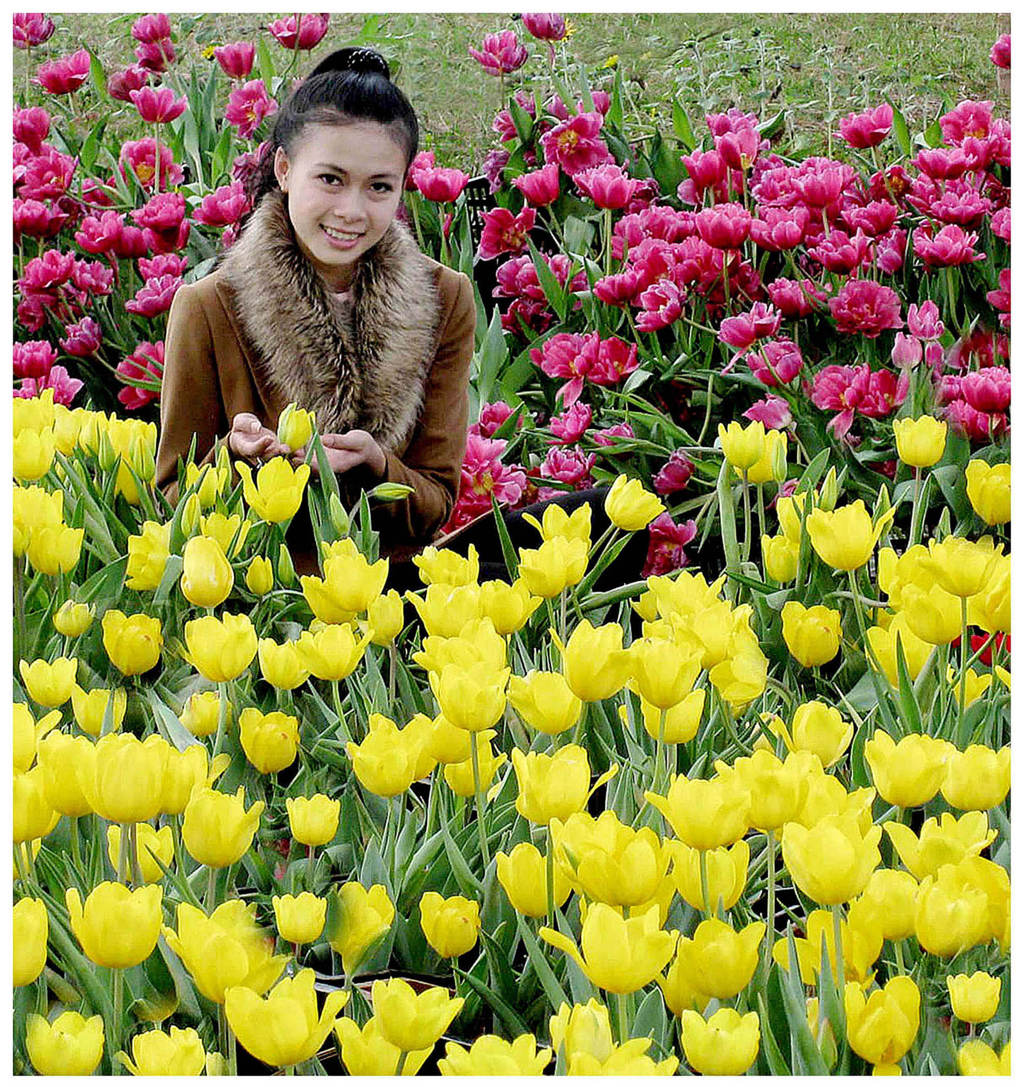 Sắc xuân Đà Lạt