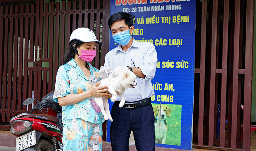 Tăng cường các giải pháp phòng chống bệnh dại trên động vật
