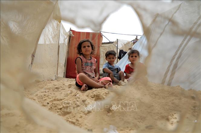 Xung đột Hamas - Israel: LHQ hối thúc lập tức ngừng bắn nhân đạo