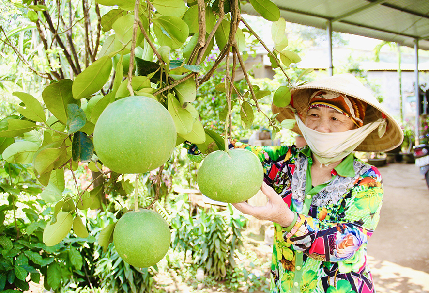 Huyện Gio Linh quyết tâm thực hiện thắng lợi các nhiệm vụ phát triển kinh tế - xã hội 6 tháng cuối năm 2024