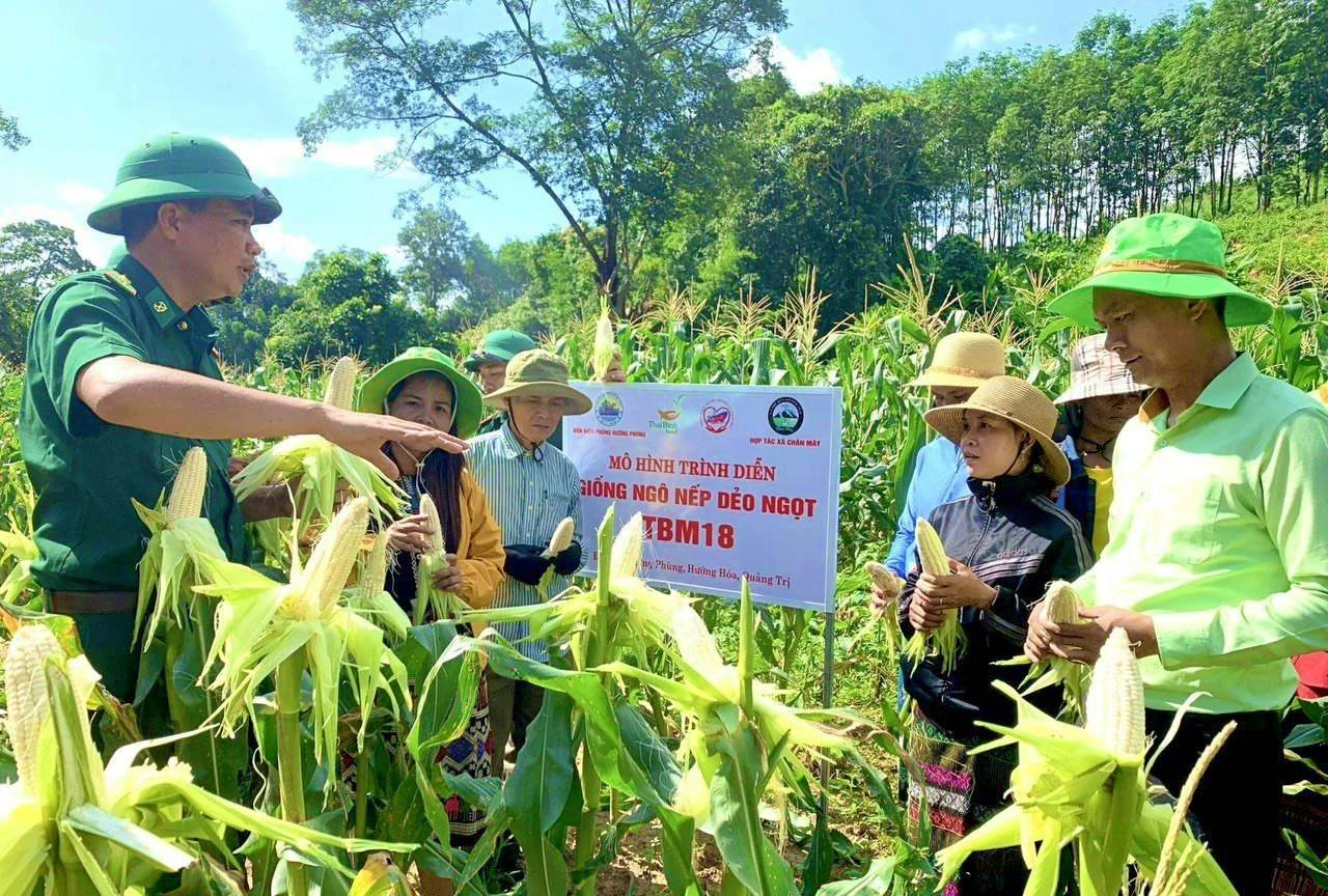 Cần tăng cường đỡ đầu xã đặc biệt khó khăn xây dựng nông thôn mới