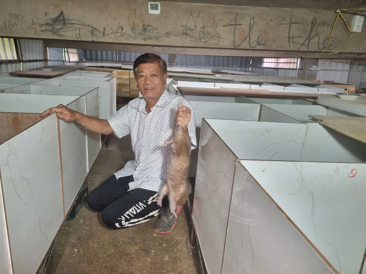 Kỳ vọng về một mô hình ứng dụng công nghệ số trong nông nghiệp
