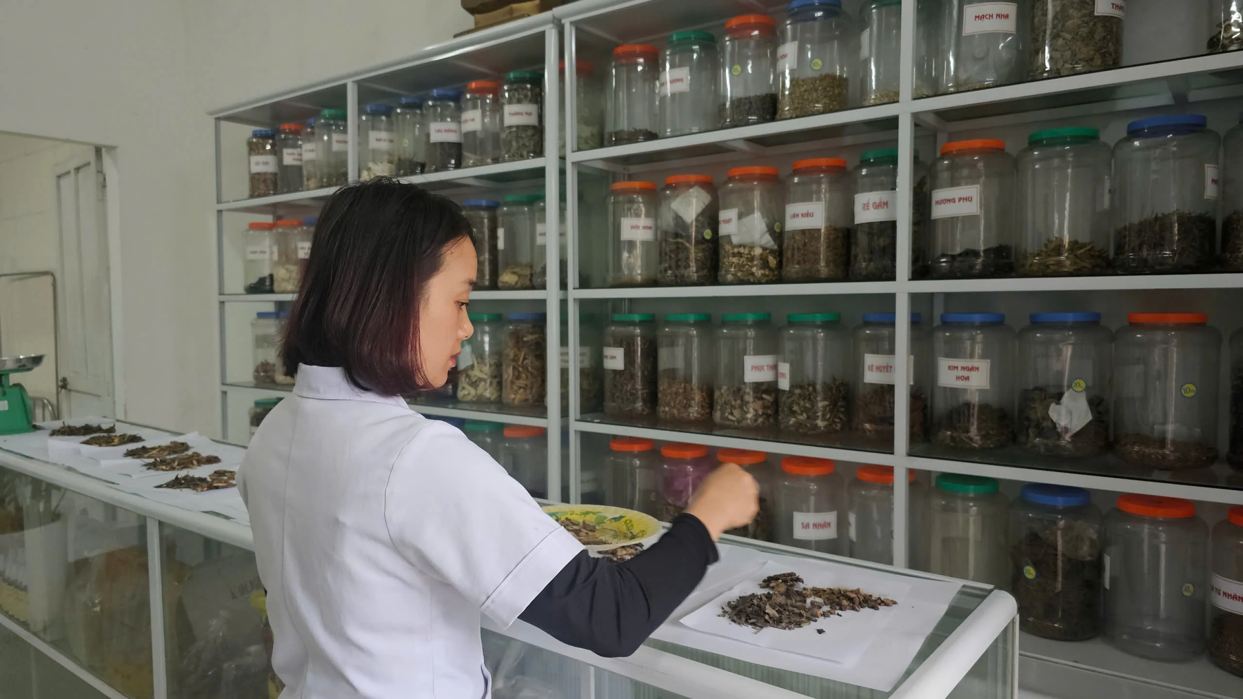 Xây dựng nguồn nguyên liệu cho y học cổ truyền