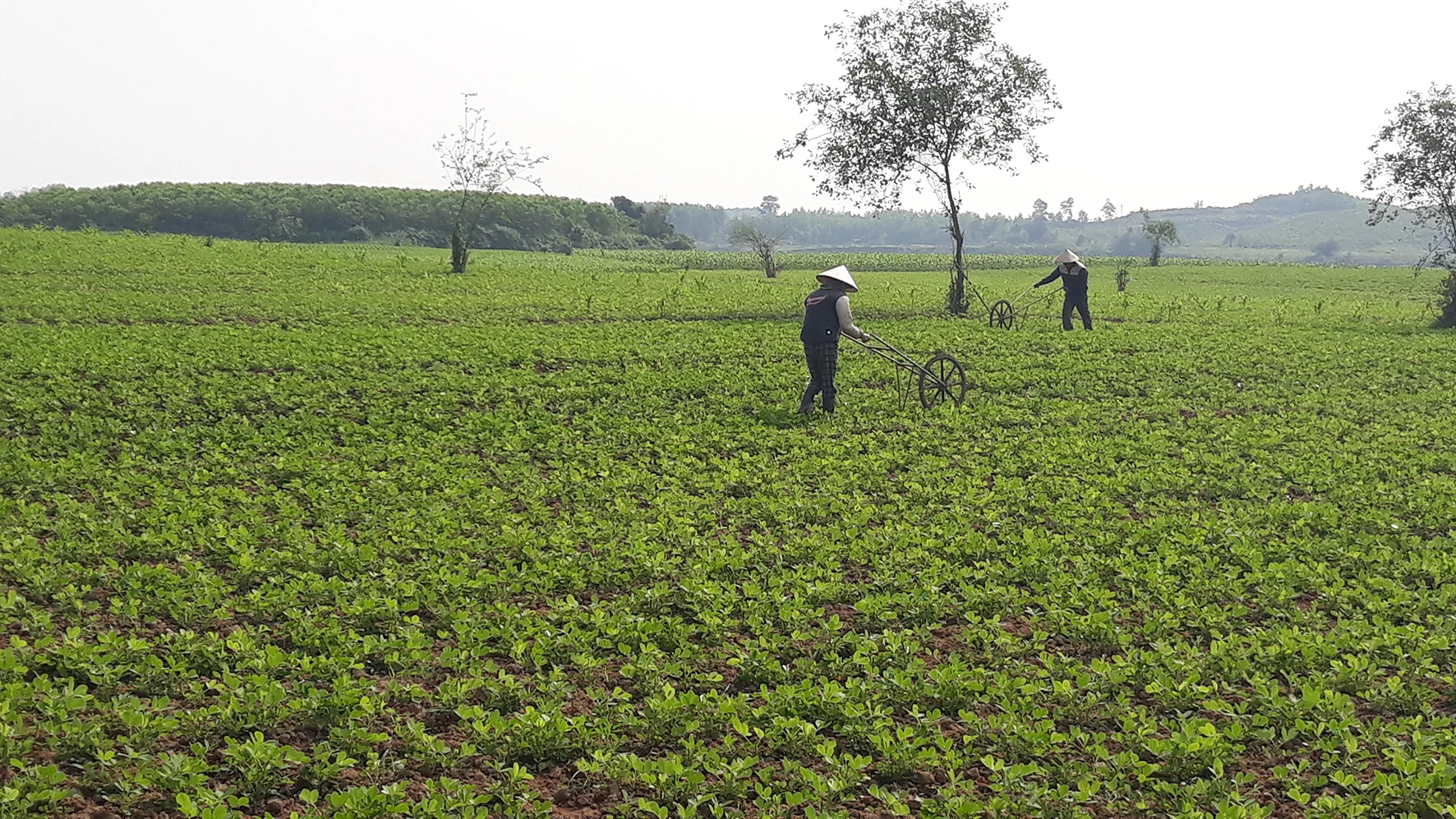 Triệu Thượng khai thác tiềm năng, thế mạnh để phát triển kinh tế