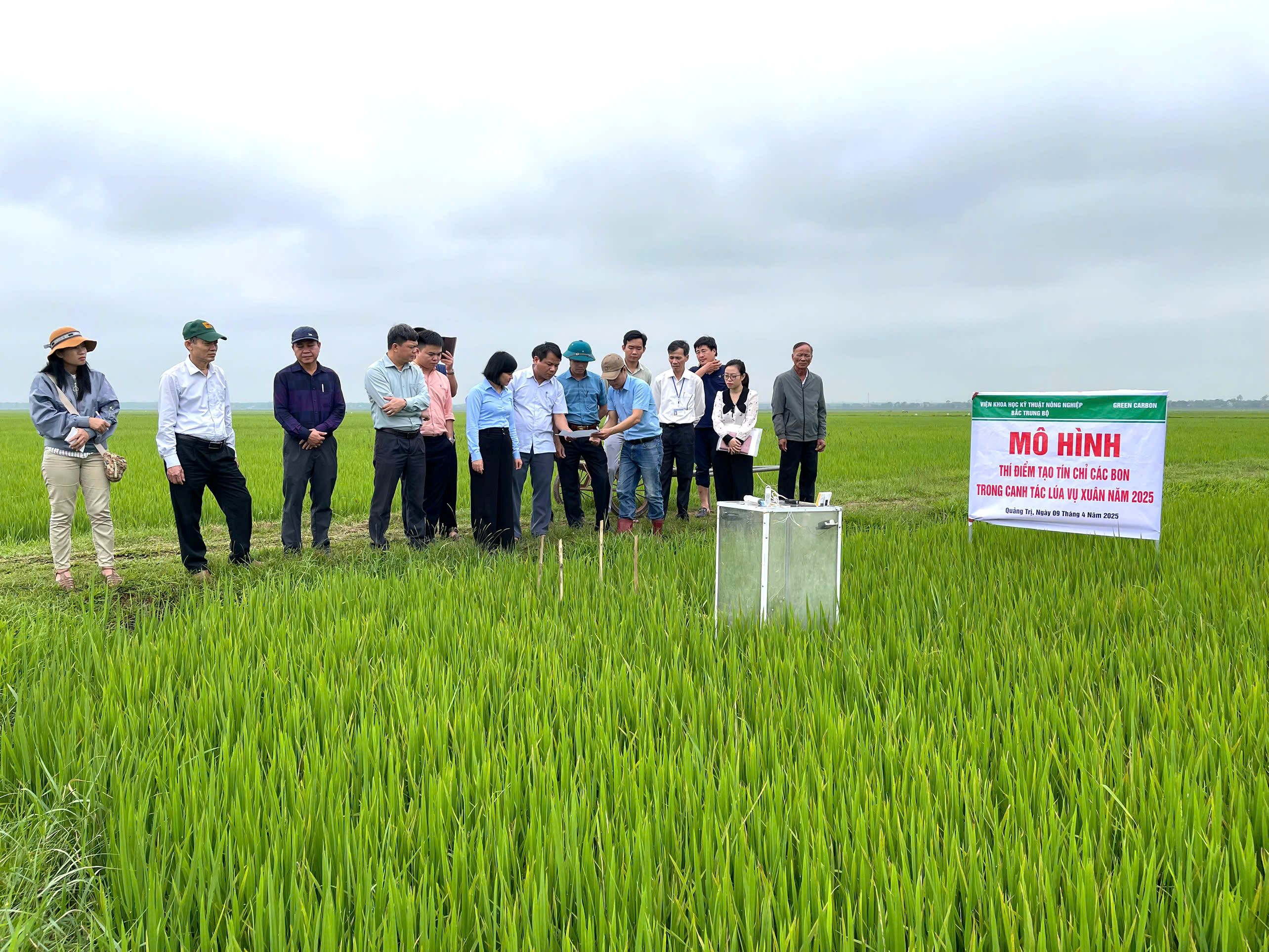 Thí điểm mô hình tưới ngập khô xen kẻ trong canh tác lúa