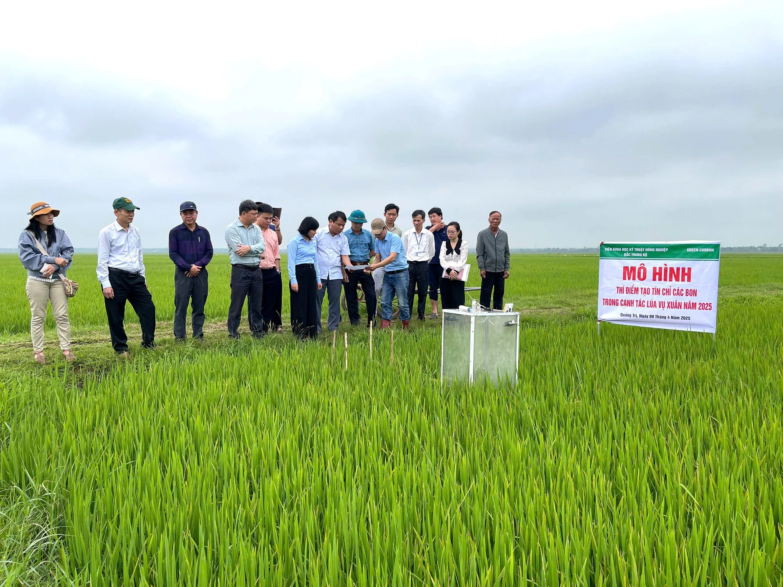 Thí điểm mô hình tưới ngập khô xen kẻ trong canh tác lúa