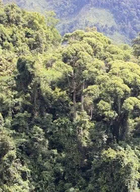 Dưới chân dãy Pú Huốt