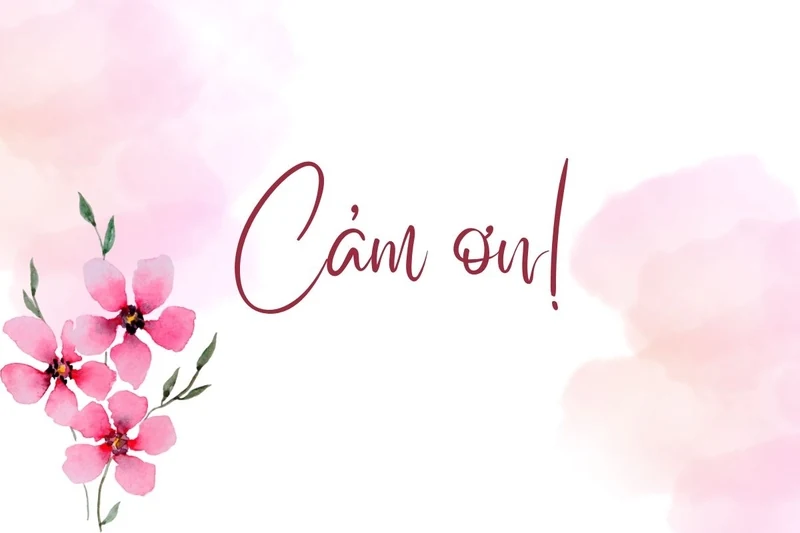 Lời cảm ơn