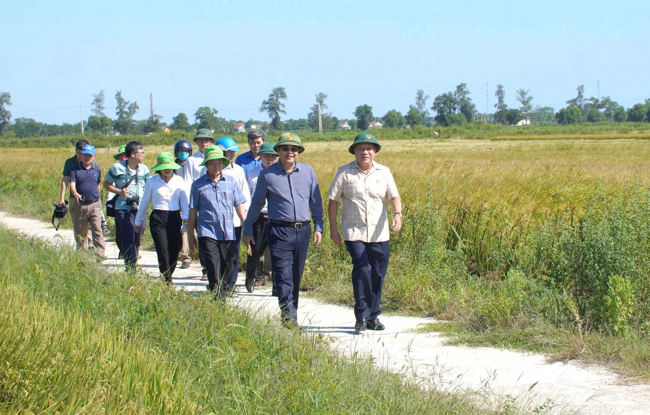 Gửi niềm tin cho những mùa xuân phía trước