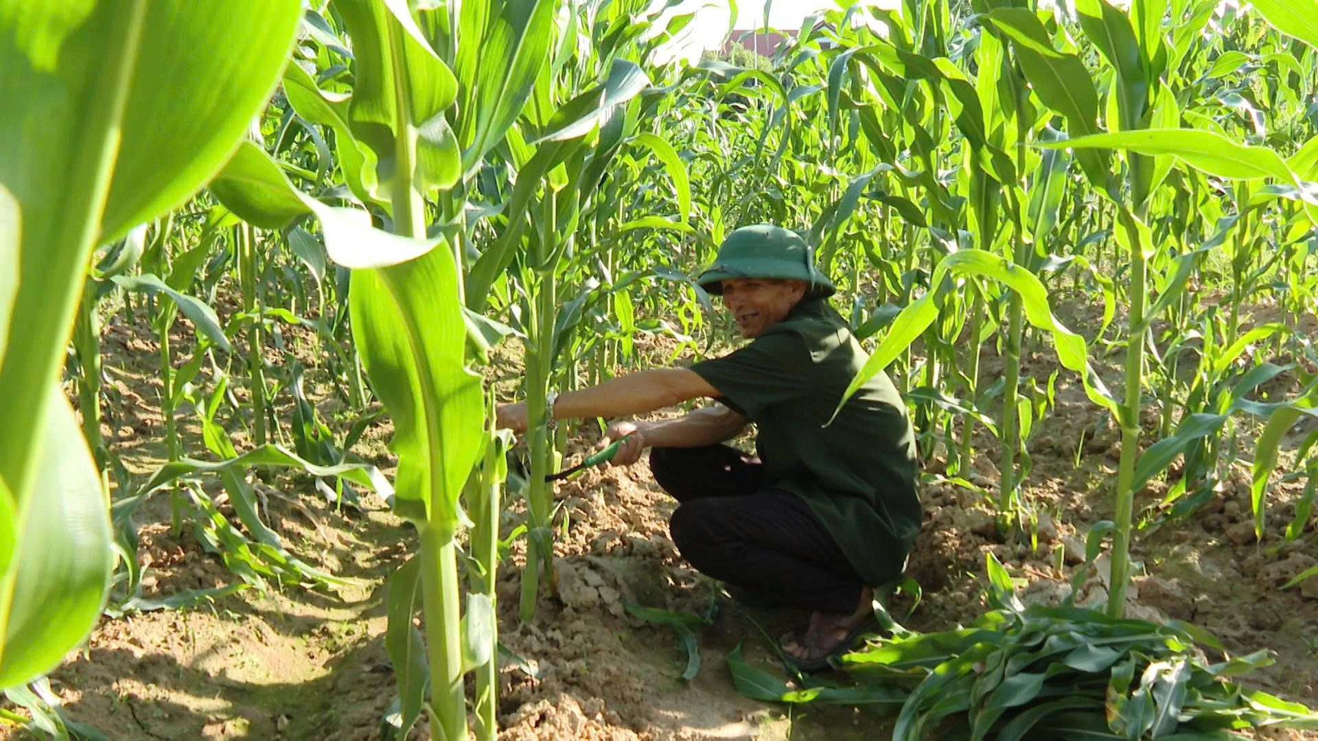 Tấm gương người lính giữa thời bình